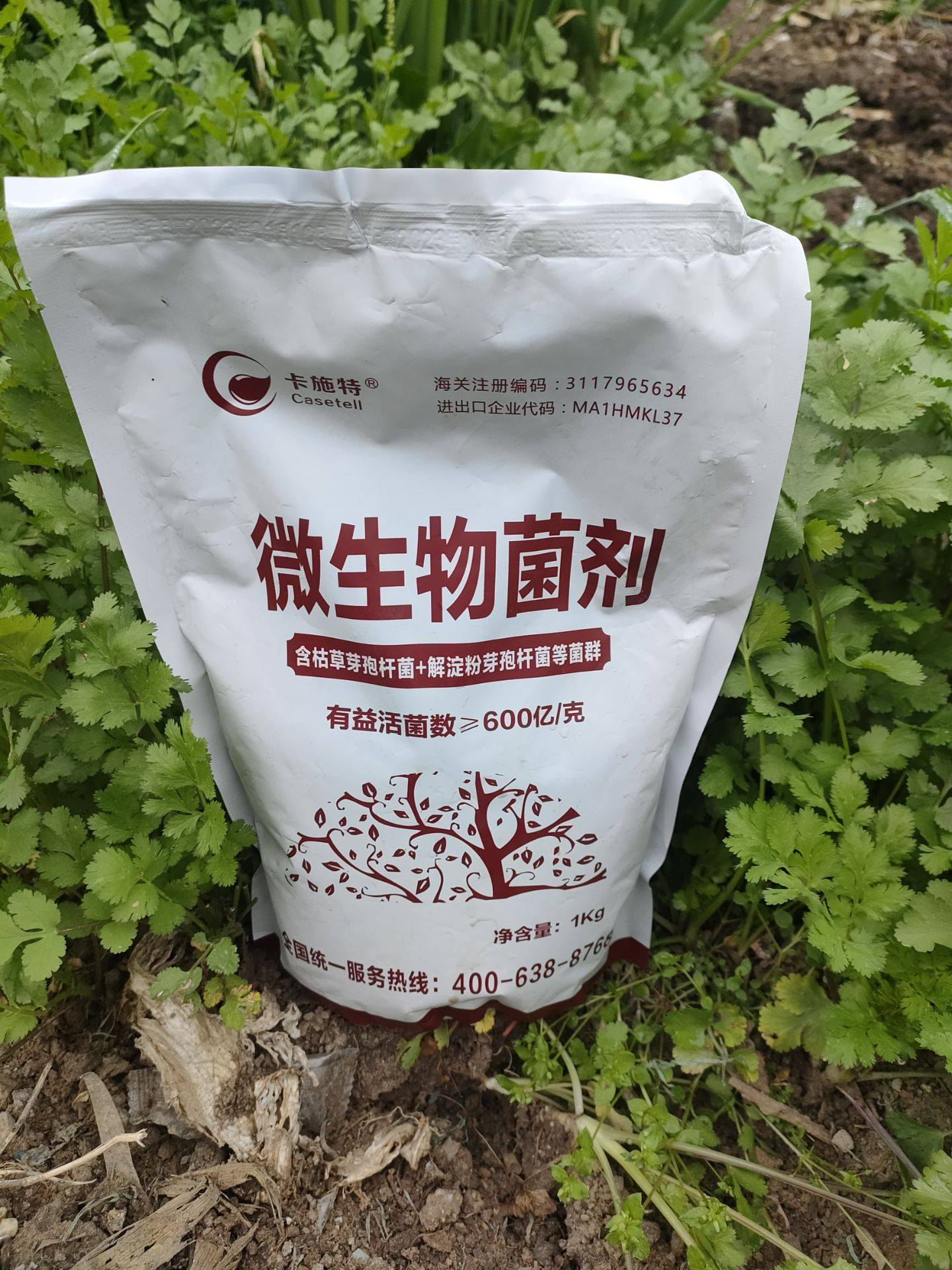 進口微生物菌劑哪個廠家好,卡施特微生物菌劑效果怎么樣?